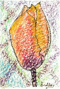 NAP_Connection's tweet image. Critics are saying @TumbaoArts is a #Tulip in a flower bed of Roses, See his new collection
mvnt.us/m299375