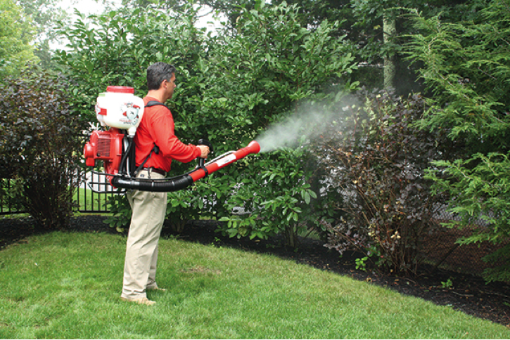 Mosquito Shield tweet media