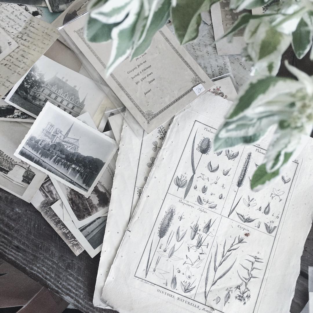 There’s something inherently spooky about antique shops #AriaAntiques
#FridayFrights #SpookyShops