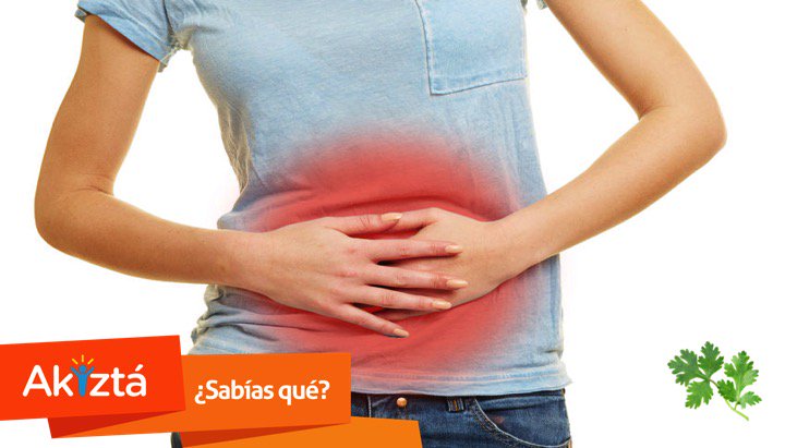 #SabíasQue las preparaciones a base de cilantro son recomendadas para complicaciones digestivas y pérdida de apetito?