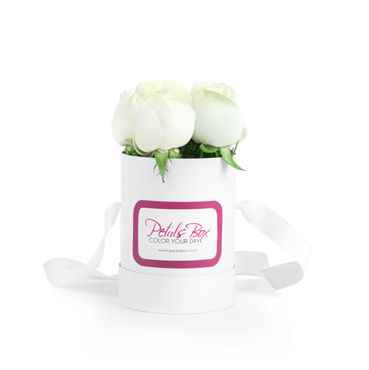 Petals Box tweet media