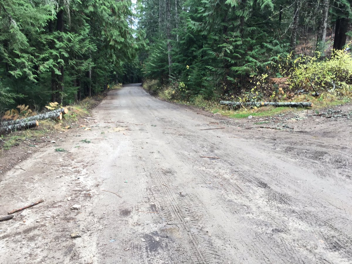 TViydo's tweet photo. Taking a look at the area where #BoKirk's body was found. That story coming up at 4. https://t.co/hnObHJ0ImD