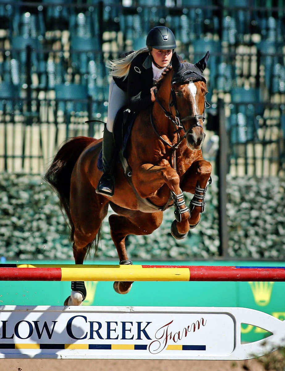simmerdownbrit's tweet photo. Ultimate Fire...what a perfect name for this flamingly gorgeous horse. Glad I was able to catch you one last time this year @BullRunJumpers! https://t.co/hyAM4P7j0U