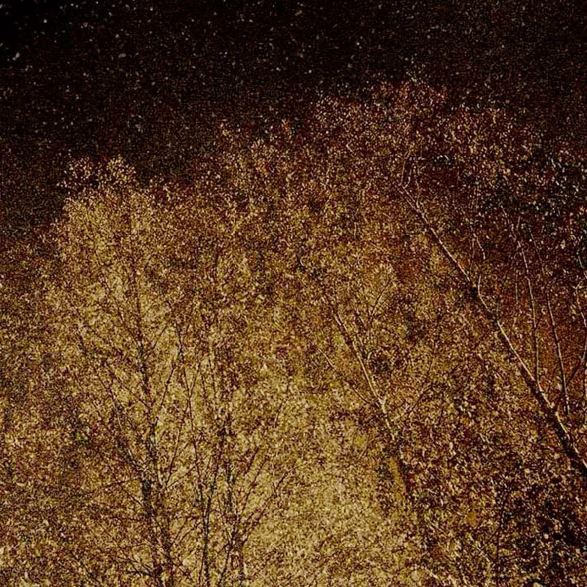 xxRocketshipxx's tweet photo. Our new single, "Autumn Tears", is out now.
https://t.co/KR1VST9WJu https://t.co/je0Jppd0hx