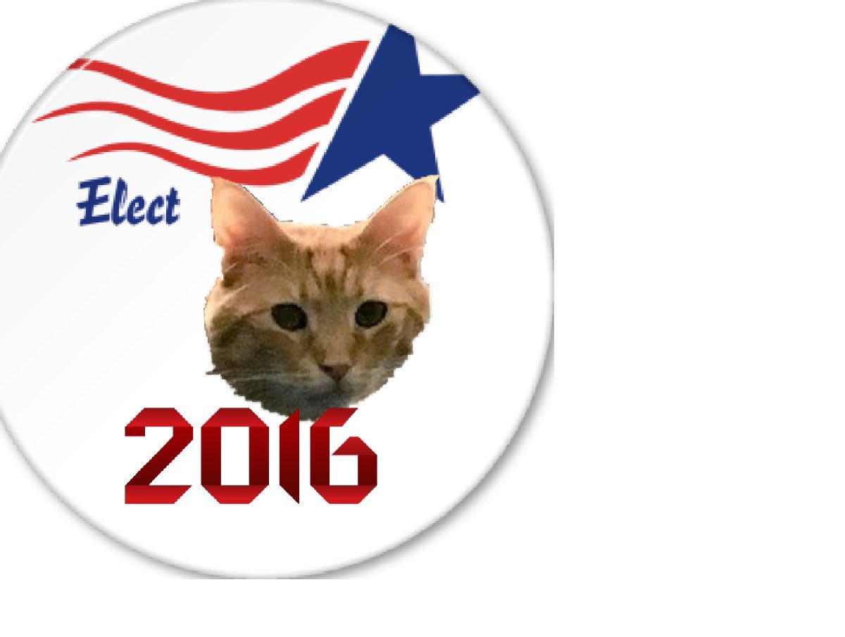 nerdsyncsparta's tweet photo. Don't forget to get an exclusive Sparta Presidential Pin! #Sparta2016 https://t.co/31Kpo3535d