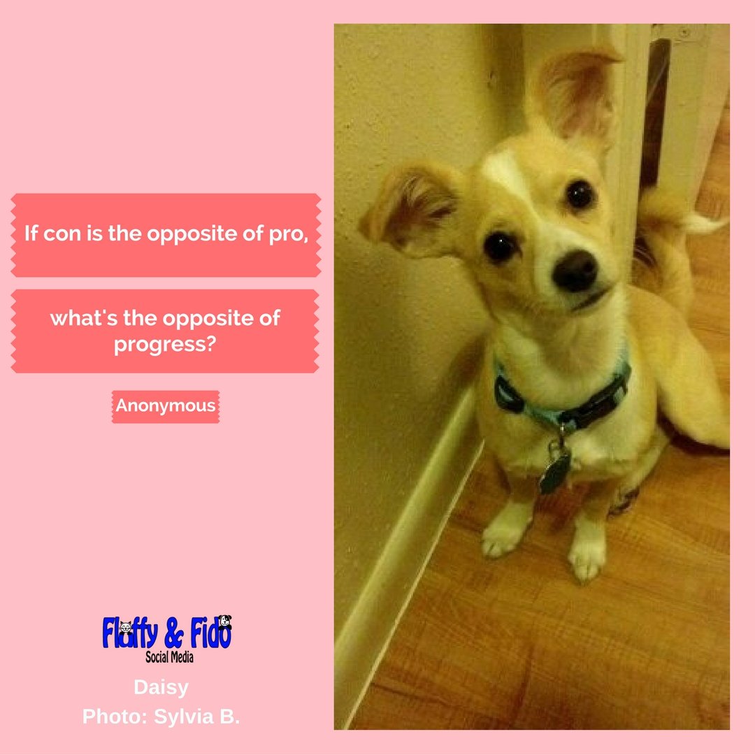 kgscreatives's tweet image. #StatusQuo   #ExplainItToMe