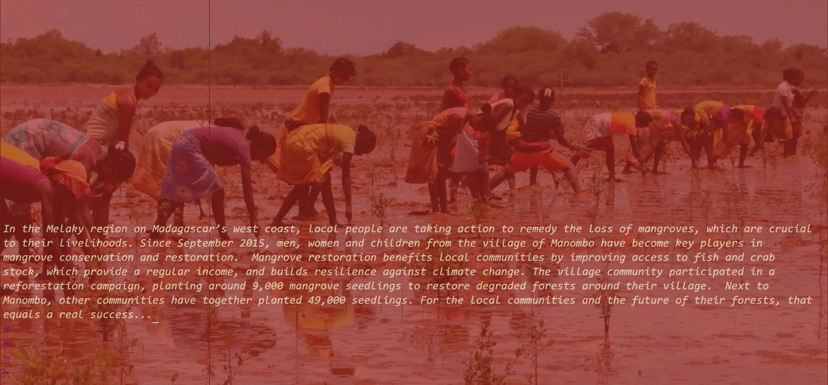 revolutionlab's tweet photo. local creativity – the power that sustains community life. notes from melaky/madagascar ~ via @wwf #LivingPlanetReport https://t.co/tMsQKVo1Xr