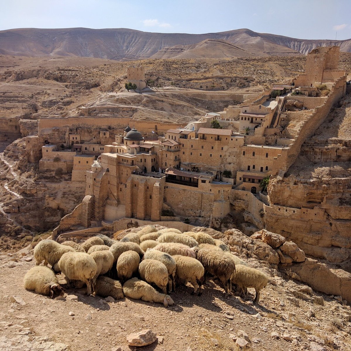 Danny_Digger's tweet photo. Conducted a great Jeep tour to the Judean Desert last week!.. will be happy to conduct another one.. https://t.co/6IiALI4DYS https://t.co/C9AG8AAwgL