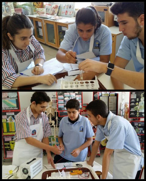 WardeRabih's tweet image. Élèves Seconde #tester propriétés chimiques physiques #différencier métaux et non-métaux #explosion des métaux alcalins dans l&apos;eau @Hhhsinfo