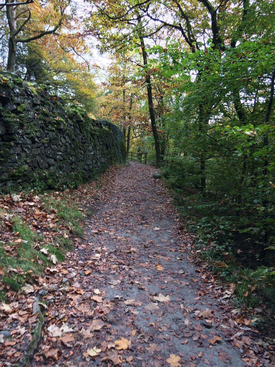 vicwestcoast's tweet photo. #autumn #lakes https://t.co/g5EQlt3U55