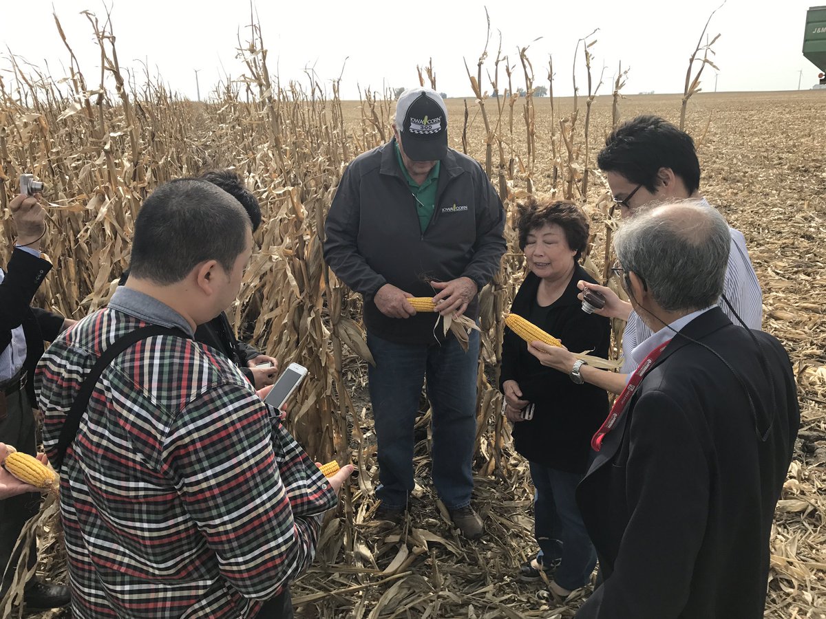 iowa_corn's tweet photo. The post #ExEx16 Japanese trade team helping Iowa Corn's Denny Friest finish out #harvest16 @USGC https://t.co/lDfUCXUTtD