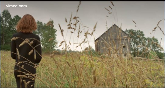 FOONYAP's tweet photo. "Will she return?" My song "Woolf and Plath" features in @FILLERMagazine 's latest fashion video 'Monarch': https://t.co/urXCDt9xbD https://t.co/caqug221Iy