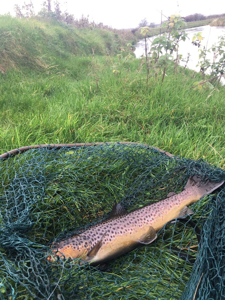 Red letter today, guide testing, what a result used a previous Finygo guide to identify a spot and caught this grille :)