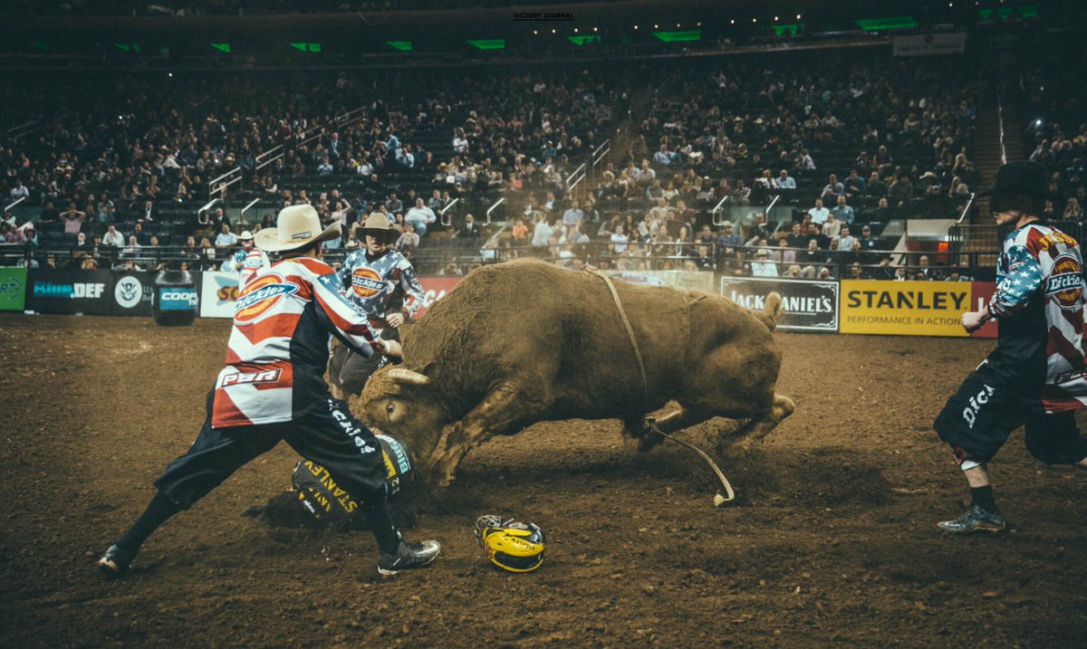 mikkorautio's tweet photo. https://t.co/BRhnbW96HV #bullriding #victoryjournal https://t.co/HiIEbOB2JN