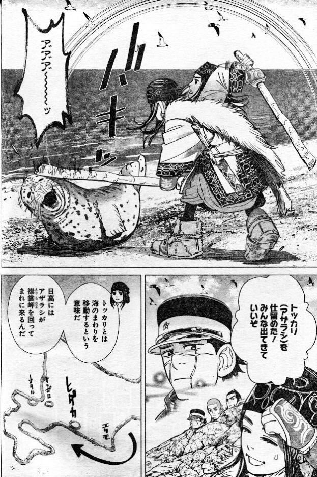 ひきこもりんf Ar Twitter ゴールデンカムイのアシリパさん すごい美少女なのになぁ 最近はずっと顔芸だからwww このアザラシとの友情あり死闘ありな扉絵からの無慈悲な捕食ホント好きw T Co Vuyw15yjb7 Twitter