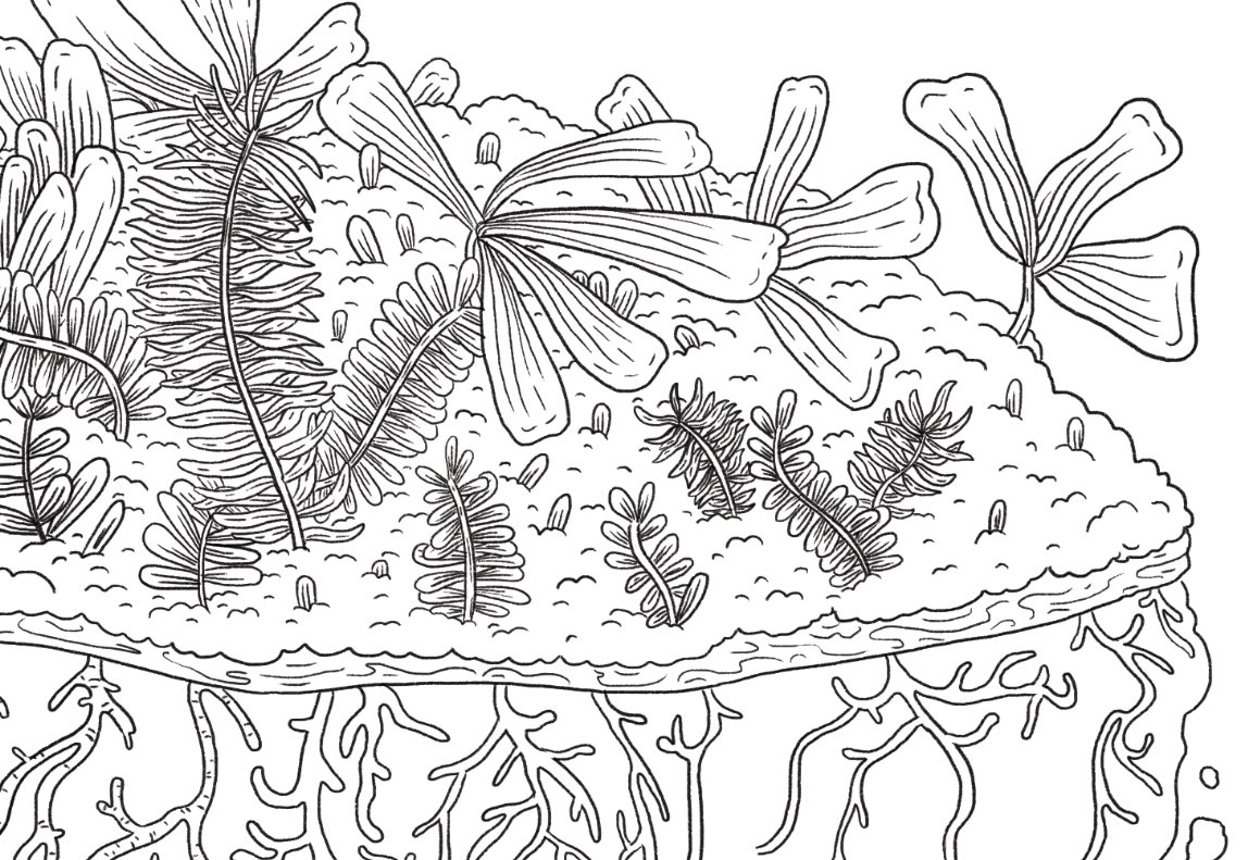 thesis plants in progress 