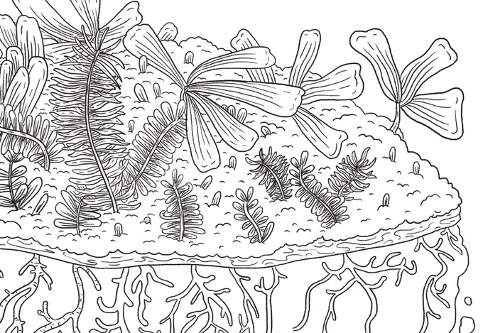 thesis plants in progress 