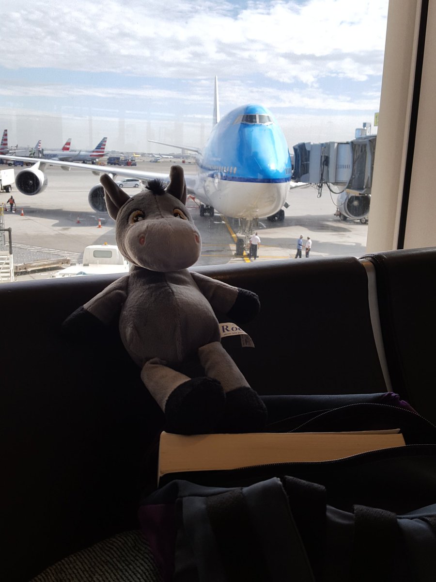 Michelle_CTFC's tweet photo. Ready for home #rocco https://t.co/Rcy34y8Kd1