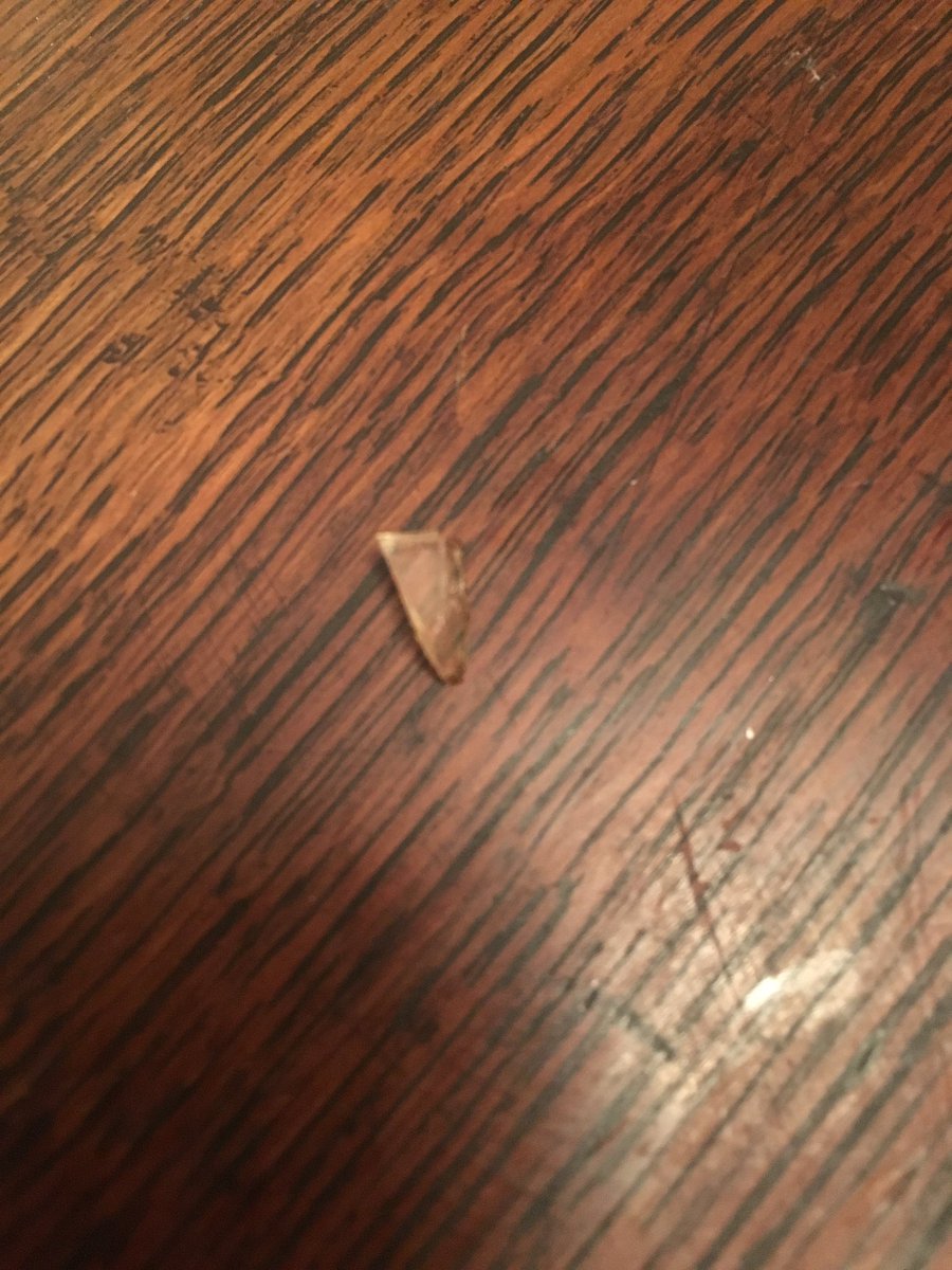 reatondesign's tweet photo. I'm very disappointed with @sainsburys found this piece of glass in my bistro salad this evening. Put me off meal https://t.co/rYQNHyMHBs