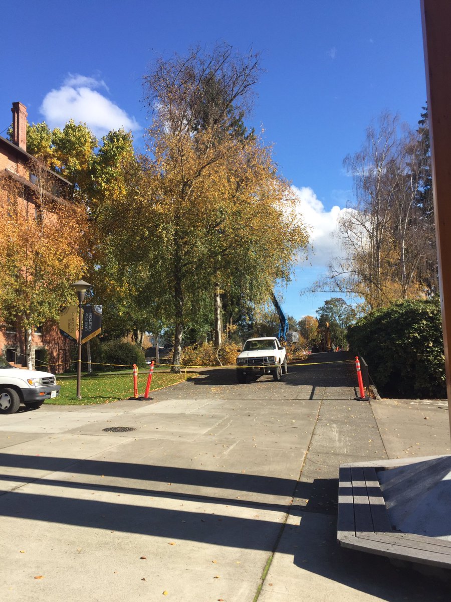 RhiannonUBerg's tweet photo. More than just leaves are falling on campus today! #byebyetrees https://t.co/hul5oHMUuN