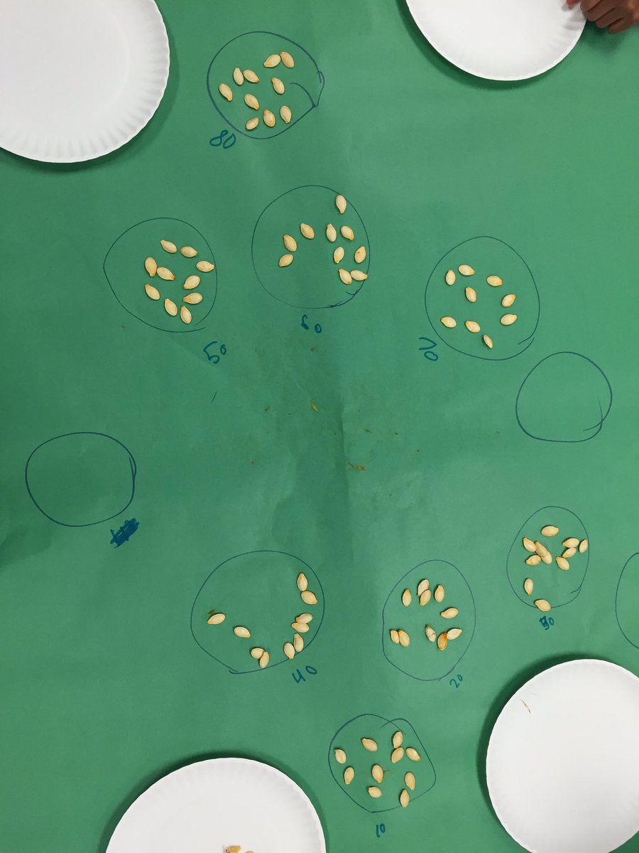 smzis's tweet photo. Wow!!! 534 seeds!! We counted by 10's to find the answer faster! @okekoalas #GoOKEKoalas https://t.co/KViRx1UIY0