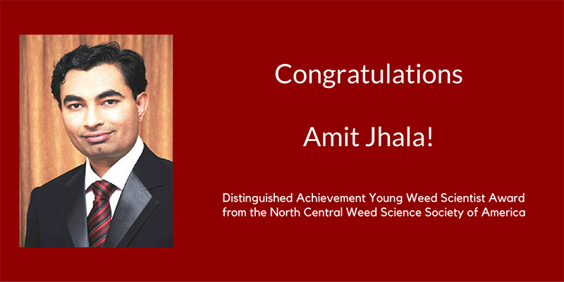 UNL_CropWatch's tweet photo. Congratulations to U. of Nebraska weed scientist &amp; CropWatch author Amit Jhala on NCR young scientist award. https://t.co/6XETq4OoYf #NebExt https://t.co/4om0OFQGAI