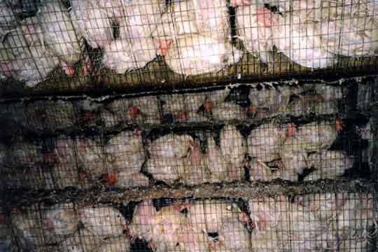 help_your_world's tweet photo. Do you know where your food comes from? https://t.co/8Zp2mzGjQx