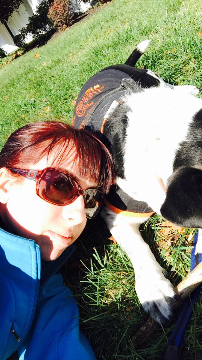 Marketing_SL's tweet photo. Boscoe and I took a well deserved break from the #PumpkinCarvingContest. #BoscoeDay #OfficeDogs #bringyourdogtowork https://t.co/i8QI7pjynF
