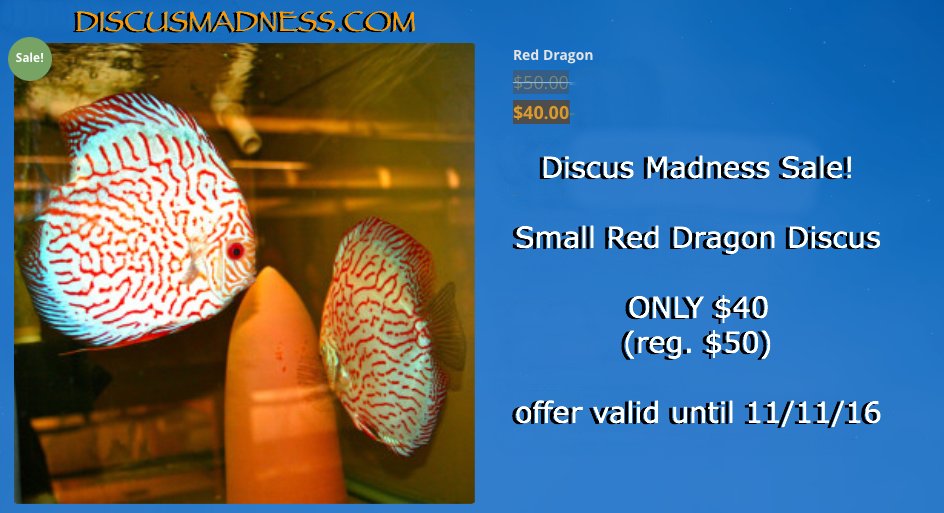 Lrg Peruvian Scalare Angelfish
$14.99
Sm Blue Pearl Diamond Discus
$32
Sm Red Dragon Discus
$40
valid until 11/11/16
discusmadness.com