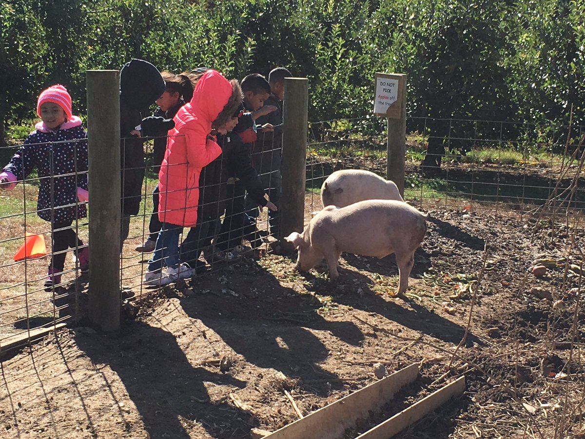 missylongo1's tweet photo. Orchard fun!!!#beelingualpride https://t.co/8LChgtNJlS