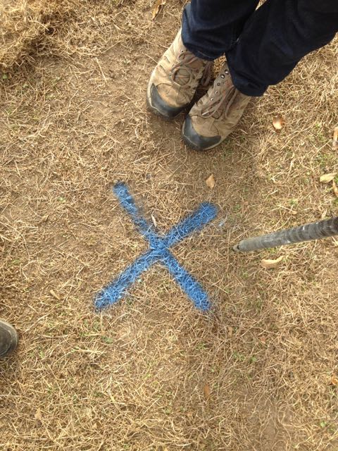 WWHHi's tweet photo. X marks the spot,
In fact there are 26 X's,
For 26 holes,
Which will have 26 posts,
How many henge posts were raised today? https://t.co/Qim4KQZhmb