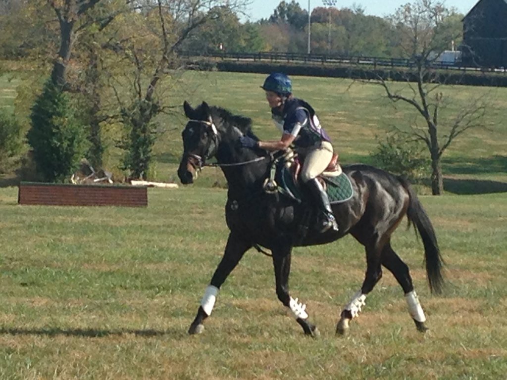 NRussoRacing's tweet photo. .@Canterca grad Dancer Humor gets some live from Teri Coombs as he finishes his round. #TBMakeover https://t.co/jQWPYUGkBZ