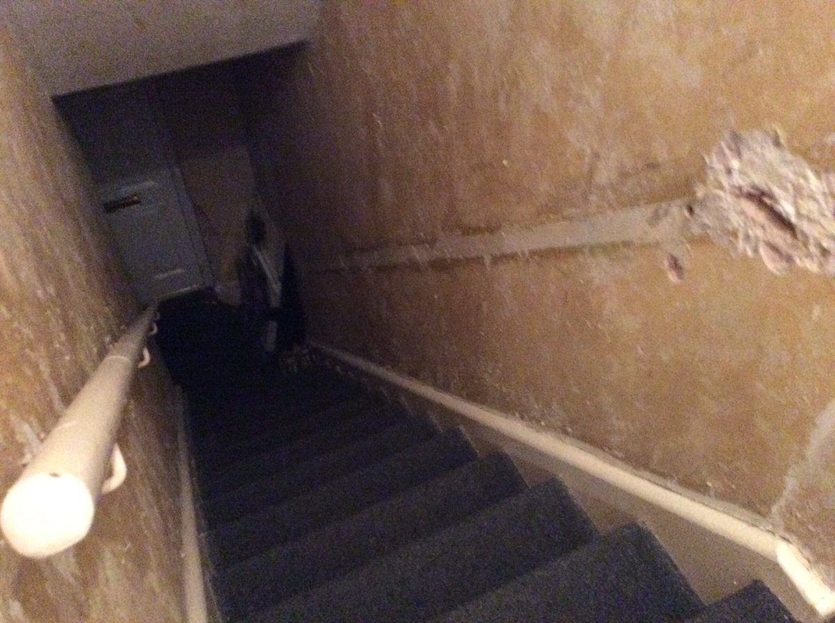 RyanDaSlayer's tweet image. We are currently stripping the walls, OF ALL THEIR WALLPAPER
#halloween