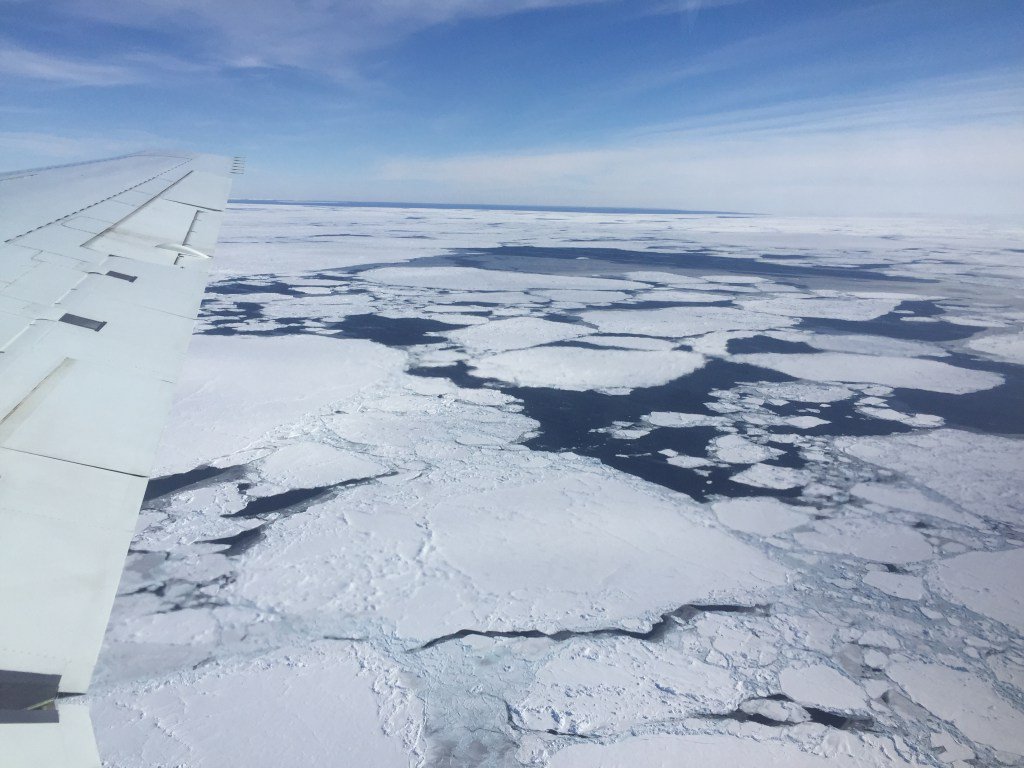 Jane Beitler tweet media