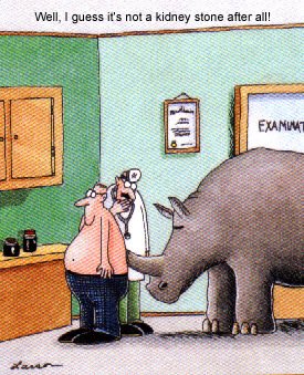 Med Advice: When all else fails, examine the patient <a href="/LifeofMedstudnt/">#LifeofaMedStudent</a> <a href="/medicalaxioms/">Medical Axioms</a> #SurgTweeting