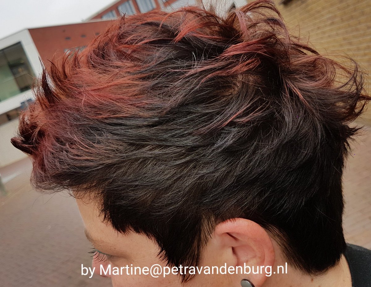 petravdburg's tweet photo. Stoere coupe door onze hair professional Martine. https://t.co/o9BVfB3u7U voor online reserveringen of via 0547-273043 @enitram83 https://t.co/w2MHp1VLO1