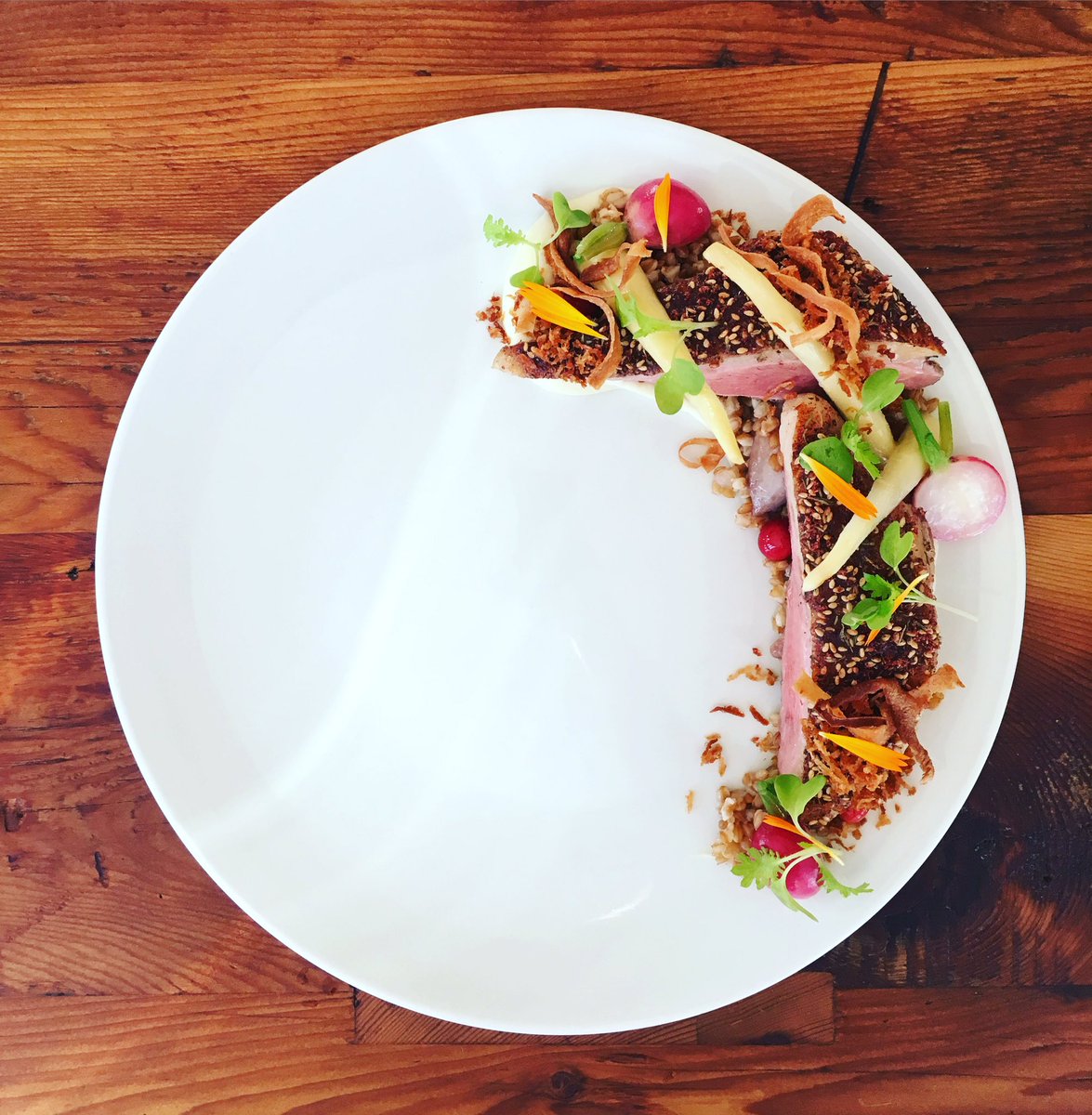 Za'taar Pekin Duck | Parsnip | Foraged Cranberry | Einkorn | Honey Duck Jus