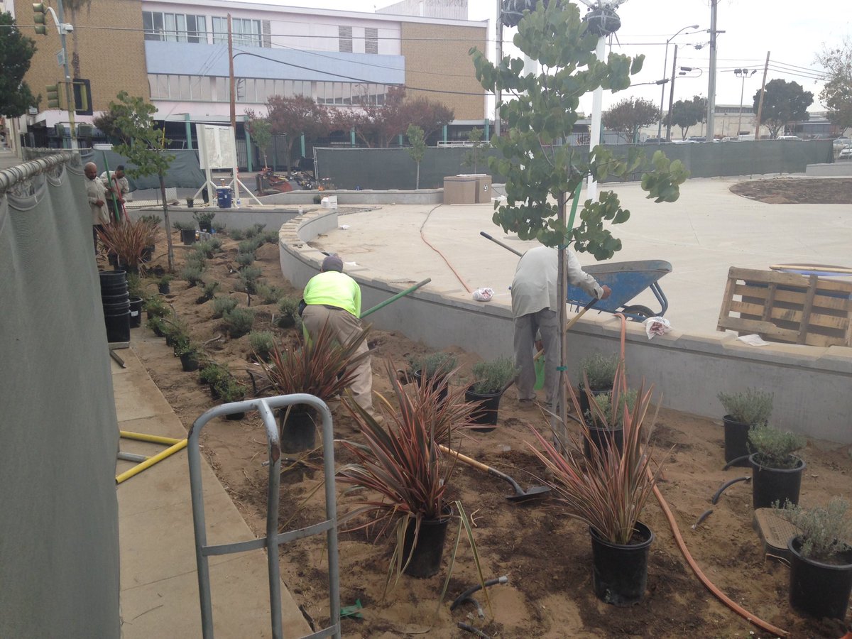 Trees and plants going in right on time for the rain. Excited 4 Downtown Park! @MayorSwearengin <a href="/OliverBaines/">Oliver L. Baines III</a> <a href="/fresnodowntown/">Downtown Fresno</a> <a href="/CityofFresno/">City of Fresno</a>