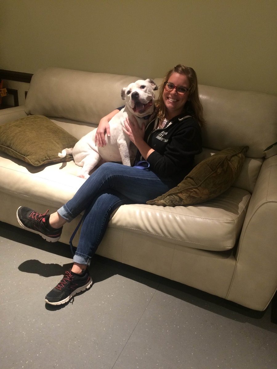 StrayRescue's tweet photo. Congratulations to you, Mr. Mellow!!  He was ADOPTED! #adoptdontshop #ilovedogs #dogsofstl https://t.co/cpggOSwecZ