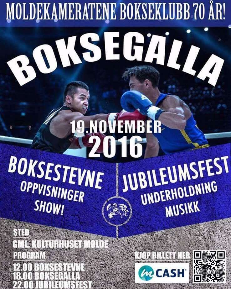 Knockout.no tweet media