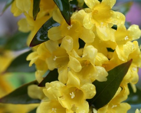 QuestionDeJour's tweet image. Too old? Too young? Too busy? Too tired? Too poor? Too afraid? 
Are you making excuses? Why not do it anyway?