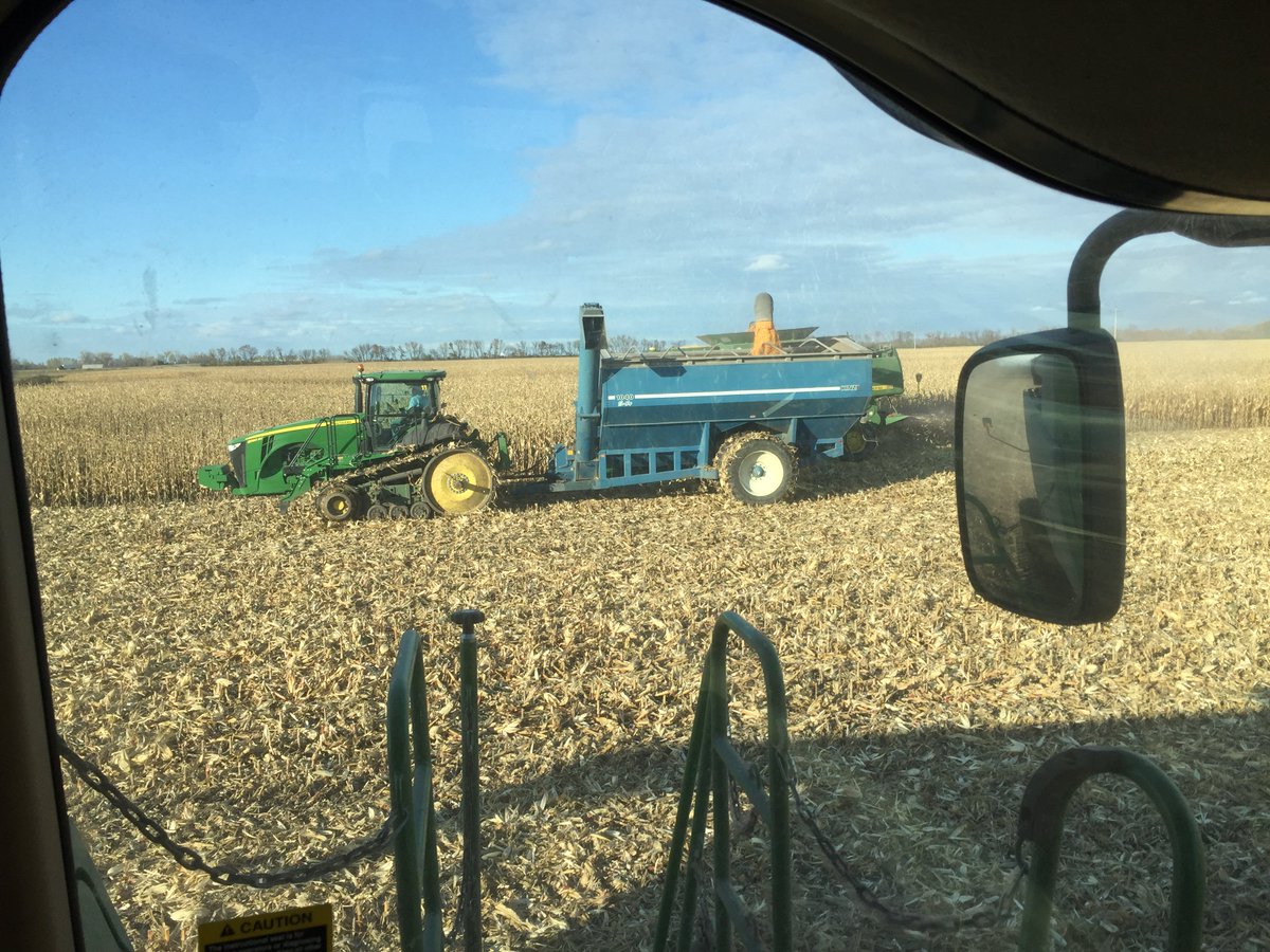 WeinlaederSeed's tweet photo. Corn &amp; Soybean Harvest Fun.  #weinlaederseed, #seeddriven, #igrowsoybeans, #soybeans, #growingsoybeans https://t.co/ULCdAsfz84