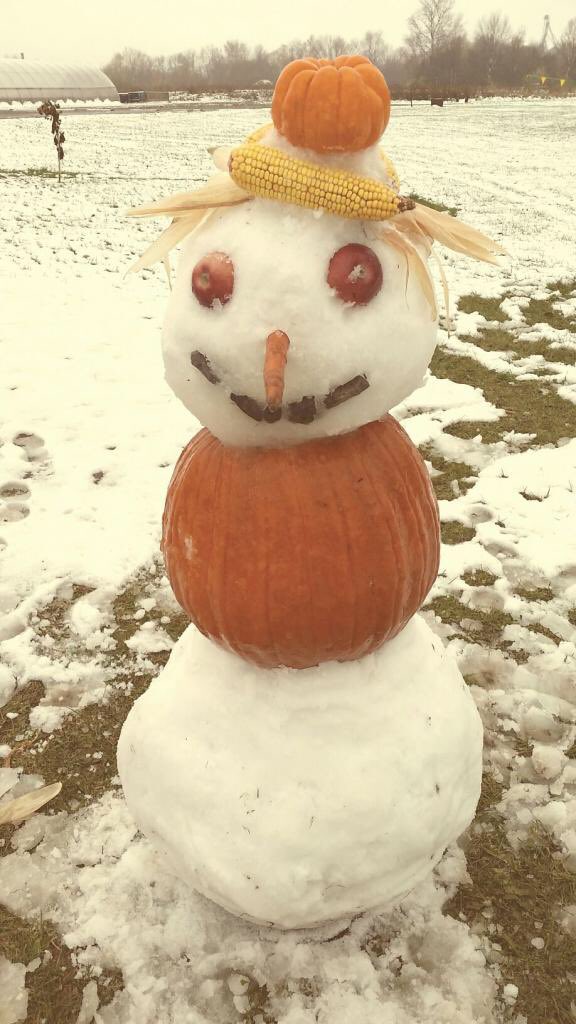 abbyhillfarms's tweet photo. Snow or Shine, we don't whine - Pumpkins are fun anytime! Come get your Pumpkins today and be ready for Halloween! https://t.co/EI4M8EzO3g