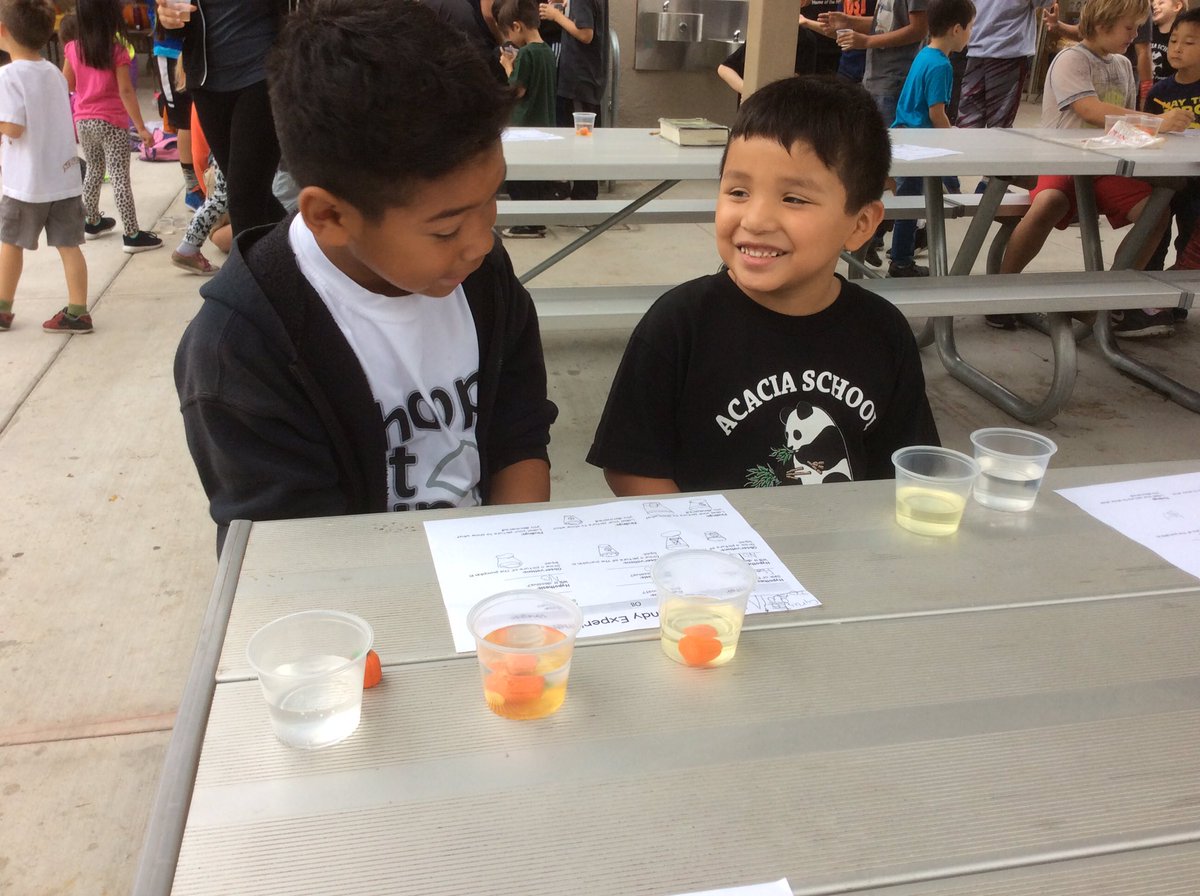k1pandas's tweet image. Making hypothesis during our pumpkin science experiment with our big buddies. @AcaciaCarrillo #FSDscience