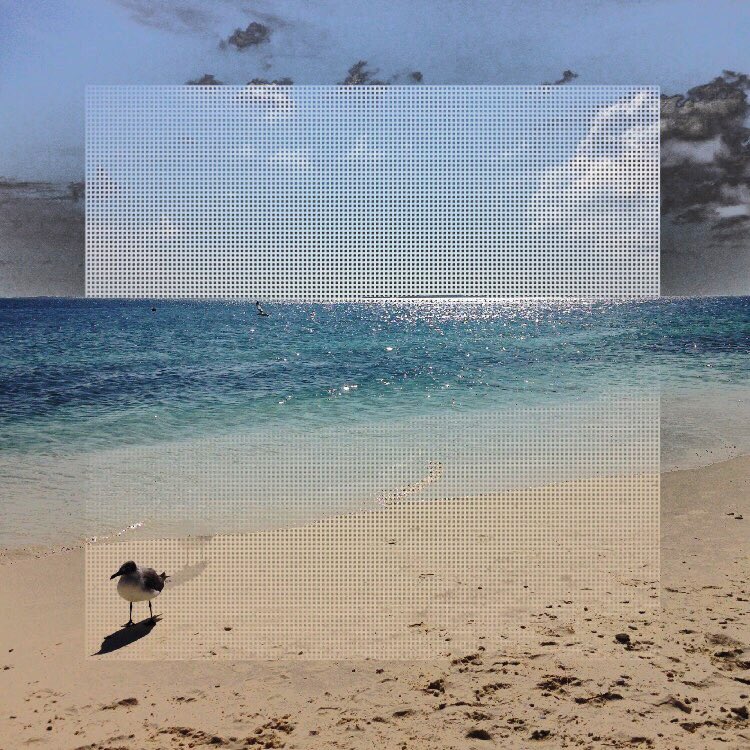 2016Gaitas's tweet photo. Nosotras de Los Roques #TuDeQue 🎶 https://t.co/8FTSIKZdik
