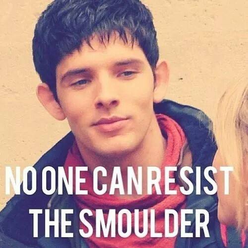 MissingMerlin's tweet photo. #MissingMerlin #Merlin https://t.co/PmI0Ev4pdv