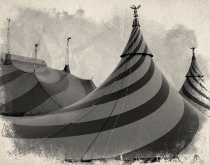 laurieannforest's tweet photo. #TheMagic12 DAUGHTER OF THE BURNING CITY @AmandaFoody who now has me hooked on stories about #darkcarnivals #darkfantasy #YA @theswanky17s https://t.co/not3G2oJlv