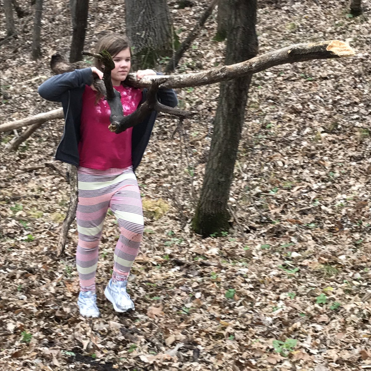 MrsThierysClass's tweet photo. #trailblazeon #turtleriver Hard at work building their shelters! Put them to work in your yards parents!!! https://t.co/FO4CiI1Gw8