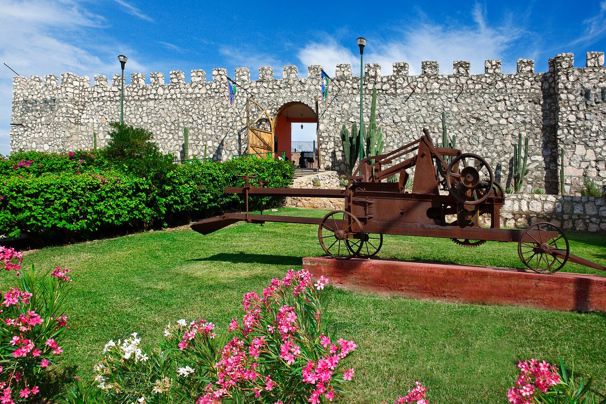 VisitSinaloa tweet media