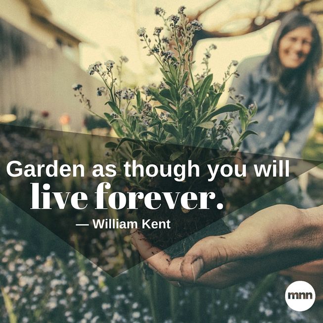 rusticviewgarde's tweet photo. Garden as though you'll live forever! https://t.co/jMUlzj7jub